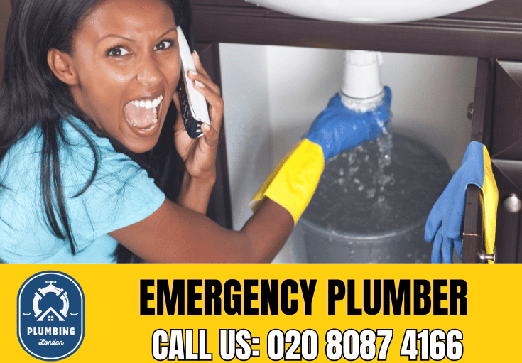 emergency plumber Chiswick 