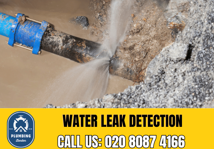 leak detection Chiswick 